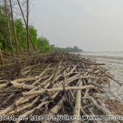 Shuvo Sondha Beach